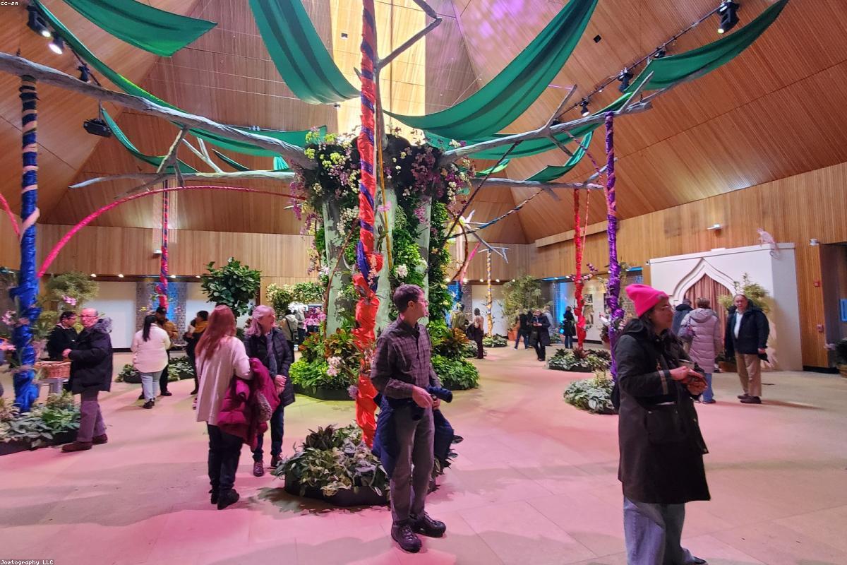 Massif de lavandes et plantes sèches devant une serre dans un jardin méditerranéen à Aix-en-Provence
